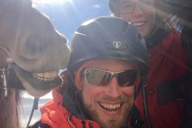 Icelandic Horseback Riding Tour Including Pick Up from Reykjavik - What the three-and-a-half-hour schedule really includes