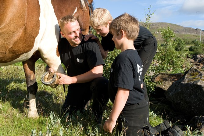 Icelandic Horseback Riding Tour Including Pick Up from Reykjavik - Who will enjoy this ride most?