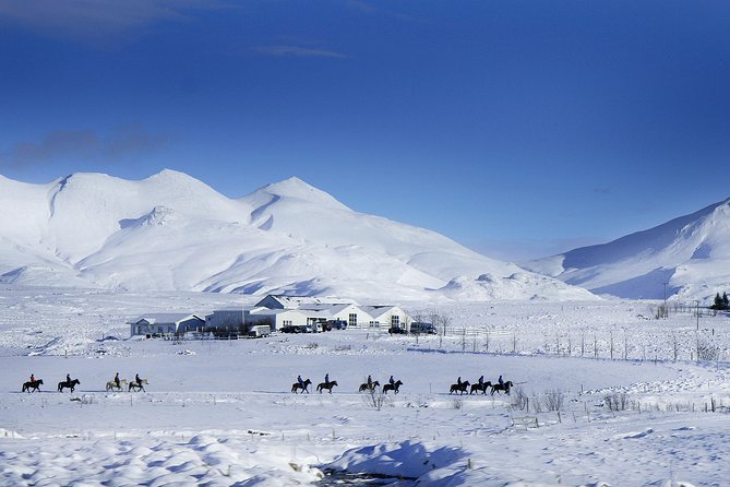 Icelandic Horseback Riding Tour Including Pick Up from Reykjavik - Booking, pickup, and weather advice