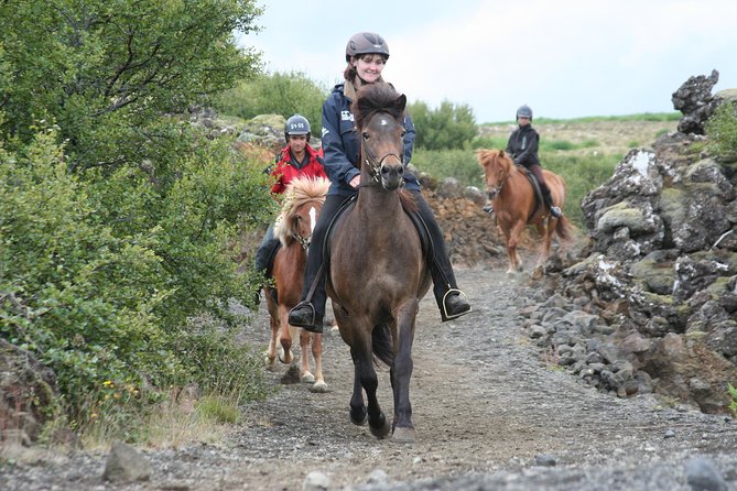 Icelandic Horseback Riding Tour with Pickup Option from Reykjavik - Key points to know before booking