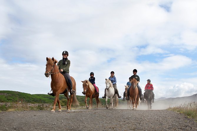 Icelandic Horseback Riding Tour with Pickup Option from Reykjavik - Arriving at Ishestar in Hafnarfjörður