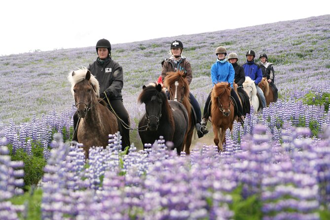 Icelandic Horseback Riding Tour with Pickup Option from Reykjavik - Lava fields, moorland, and open Icelandic views