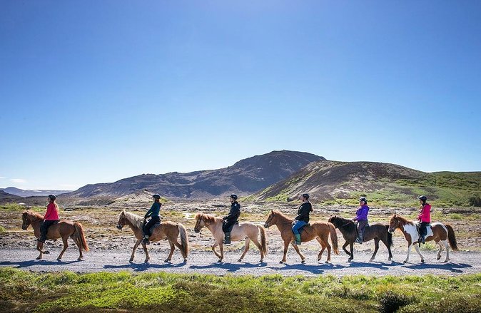 Icelandic Horseback Riding Tour with Pickup Option from Reykjavik - Getting ready for the saddle