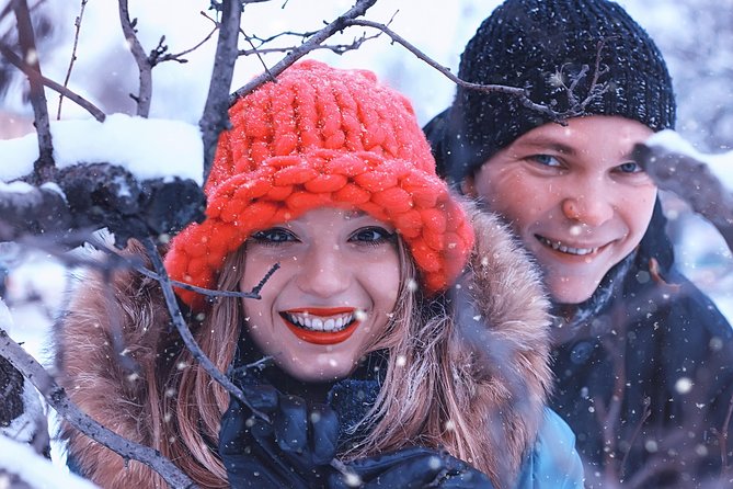 Icelandic Sagas and Glacier Cave Private Tour from Reykjavik - Other icecaps and the return to Reykjavik