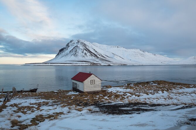 Icelands Reykjavik Self Guided Walking Audio Tour - Parliament House and Iceland’s guardians