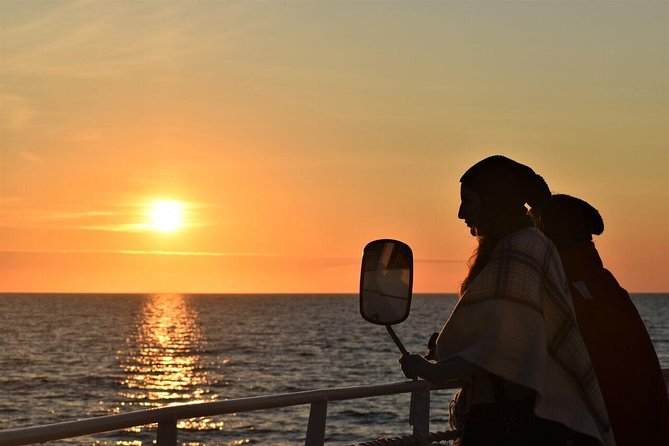 Magical Whales in the Midnight Sun | from Reykjavik - Key points to know before you sail