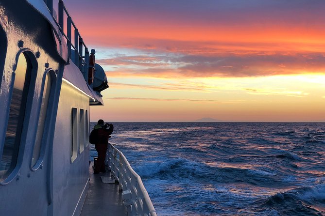 Magical Whales in the Midnight Sun | from Reykjavik - Setting out from Reykjavik Old Harbour