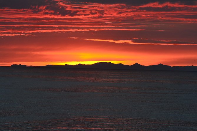 Magical Whales in the Midnight Sun | from Reykjavik - Is $105 a fair price?