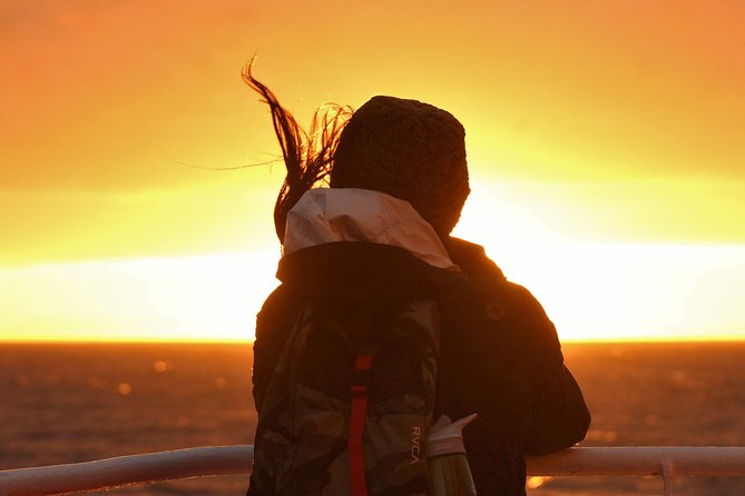 Magical Whales in the Midnight Sun | from Reykjavik - The first part of the trip: a short marine-life introduction