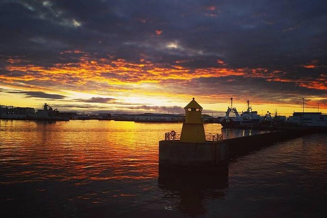 Midnight Sun Whale Watching from Reykjavik - Staying warm when the bay turns rough