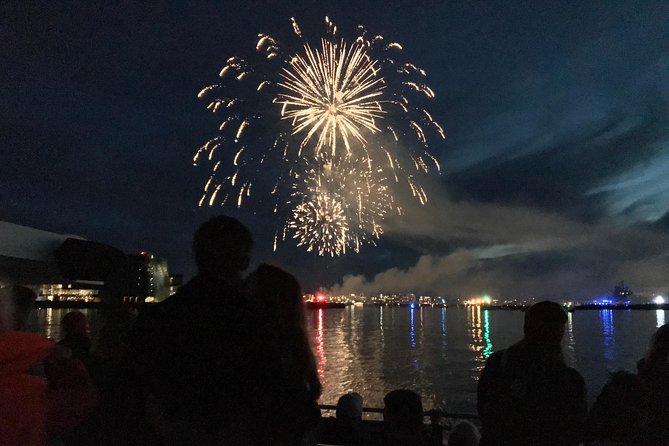 New Year's Eve Fireworks Cruise in Reykjavik - Timing, Cancellation, and Practical Details