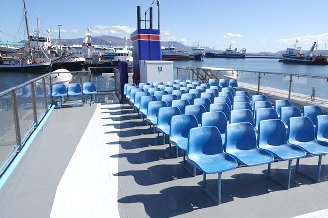 Northern Lights Boat Cruise from Reykjavik - The boat gives you two ways to watch