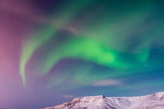 Northern Lights Boat Cruise from Reykjavik - Who will enjoy this cruise most?