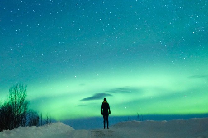 Northern Lights Bus Tour from Reykjavik with Hot Chocolate - Icelandic stories while you wait