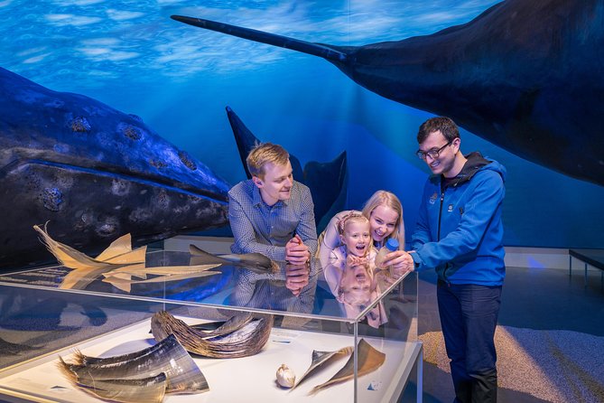 Northern Lights by Boat with a Backup Plan from Reykjavik - How to make the most of the experience