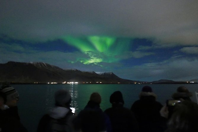 Northern Lights Cruise from Reykjavik Including Photos - How good is the chance of seeing the aurora?