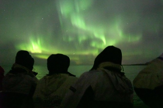 Northern Lights Cruise from Reykjavik Including Photos - Weather cancellations need careful attention