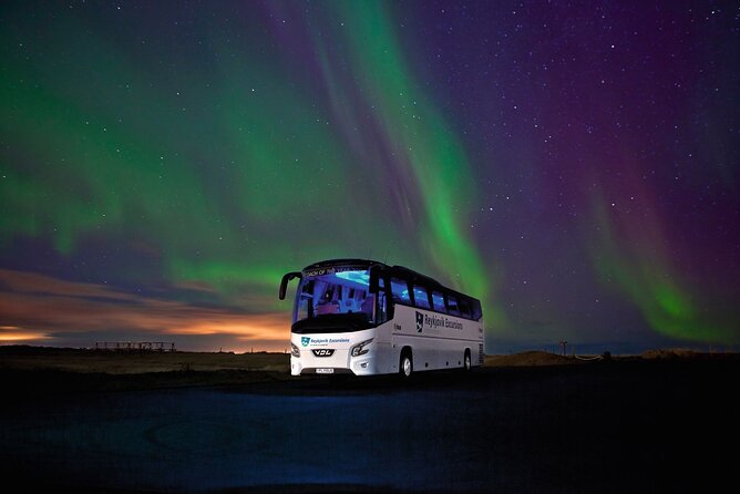 Northern Lights Guided Bus Tour from Reykjavik - Is $73 a fair price?