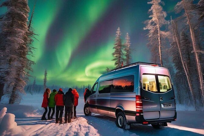 Northern Lights Small Group Tour from Reykjavik - What the guide adds to the night