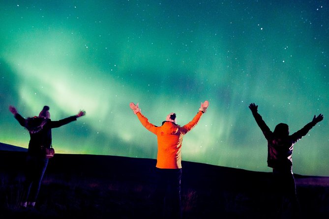 Northern Lights Small Group Tour from Reykjavik with Free Photos - What happens during the four-hour outing