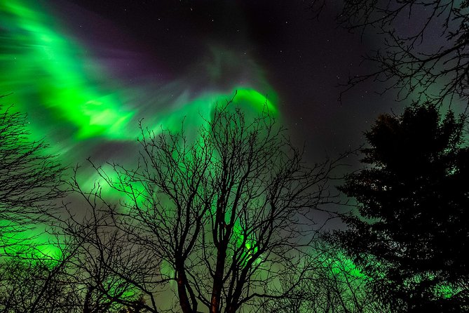 Northern Lights Tour from Reykjavik with Lifetime Guarantee - What the evening looks like from the terminal