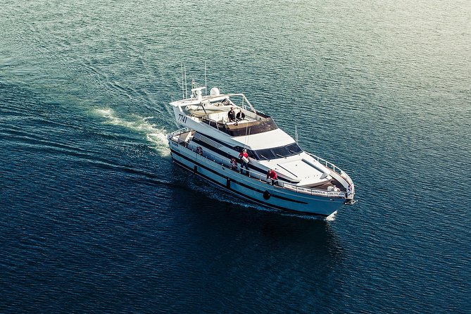 Northern Lights Yacht Cruise - The crew can make a faint aurora easier to see