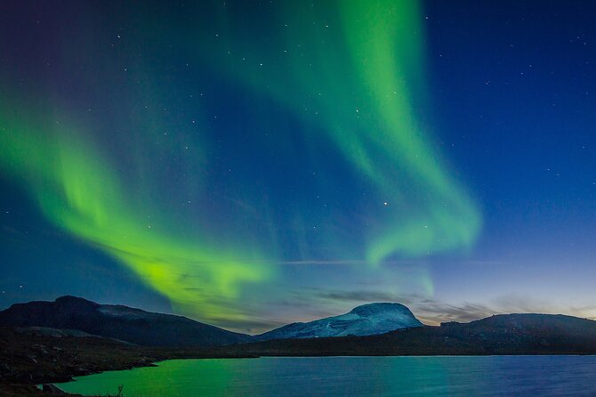 Northern Lights Yacht Cruise in Reykjavik - What you might see beyond the northern lights