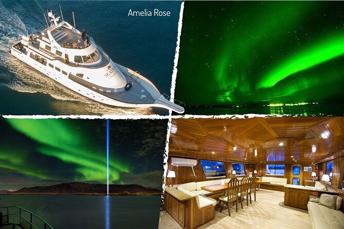 Northern Lights Yacht Cruise in Reykjavik - Is $94 a fair price for two hours?