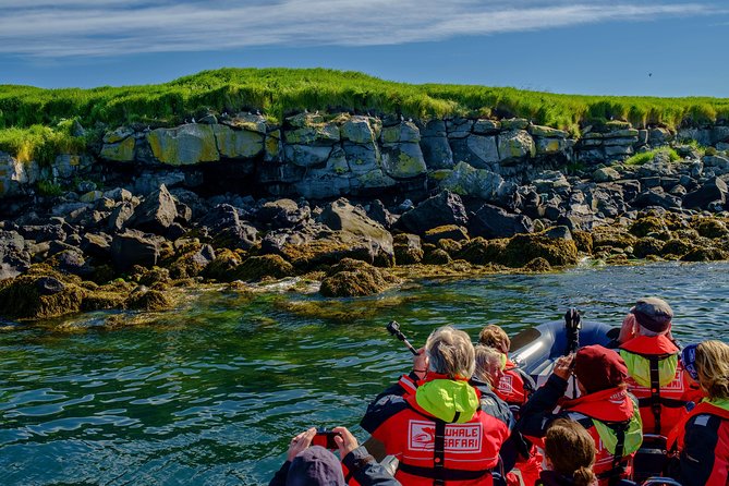 Premium Small-Group Puffin & Bird Watching tour from Reykjavík - Puffin islands and protected nesting areas