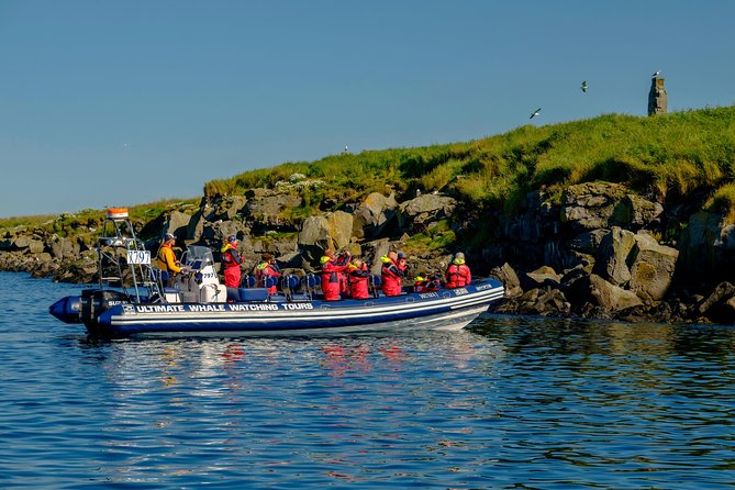 Premium Small-Group Puffin & Bird Watching tour from Reykjavík - Weather, clothing, and seasonal timing