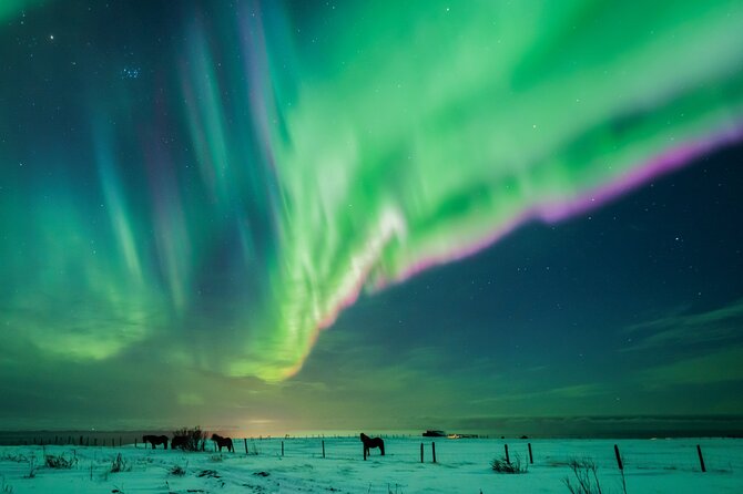 Private Aurora Hunt with Photos in Super Defender - Practical details that affect the night