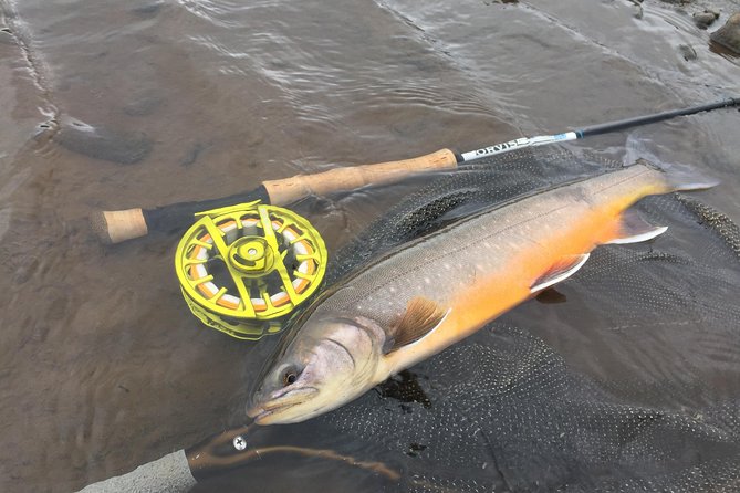 Private Fishing Tour from Reykjavik - Arctic Char and Brown Trout - Equipment, clothing, and food included