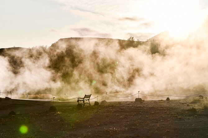 Private Full-Day Golden Circle Tour from Reykjavik - Who should book this Golden Circle outing
