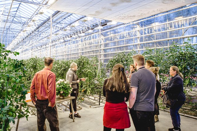 Private Golden Circle, Sky Lagoon and Friðheimar Greenhouse Lunch - Is $3,215 good value for two people?