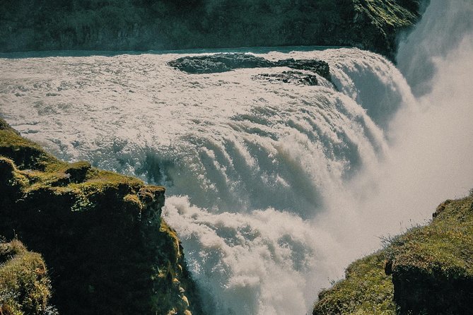 Private Golden Circle Tour Iceland | Day Tour - Fridheimar brings tomatoes into an Icelandic day