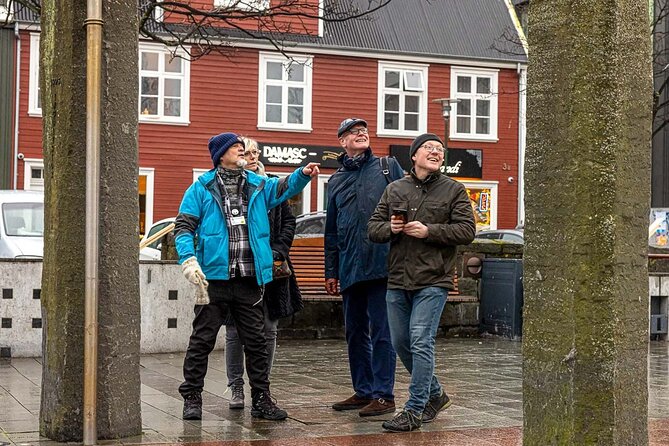 Private Icelandic Viking Age Walking Tour - Starting at Ingólfstorg and finding your guide