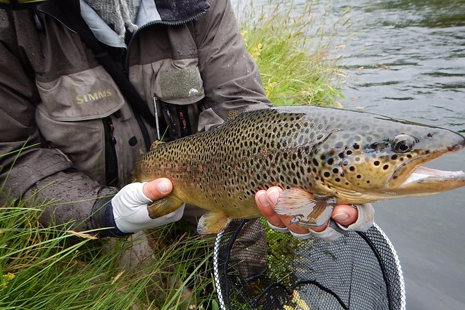 Private Lake and River Fishing Tour from Reykjavik - Gear, permits, transport, and what you bring