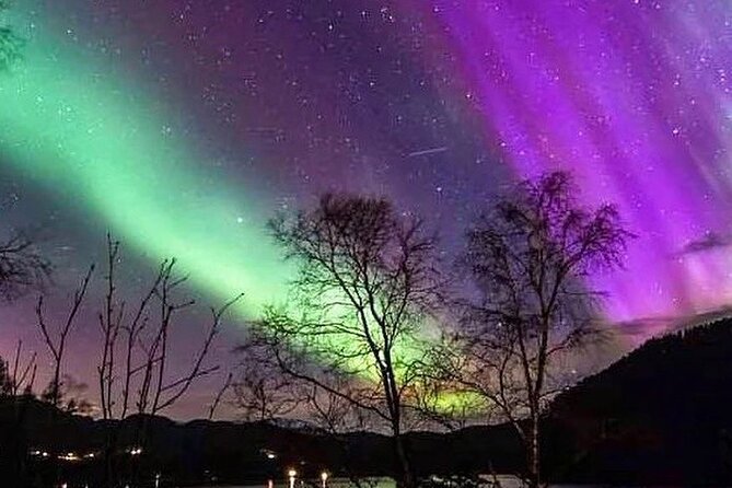 Private Northern Lights Tour From Reykjavik - What this evening experience appears to include