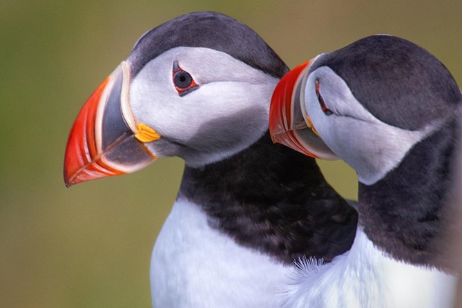 Private South Coast Tour with a Professional Photographer/Guide - Why this private photo tour is different