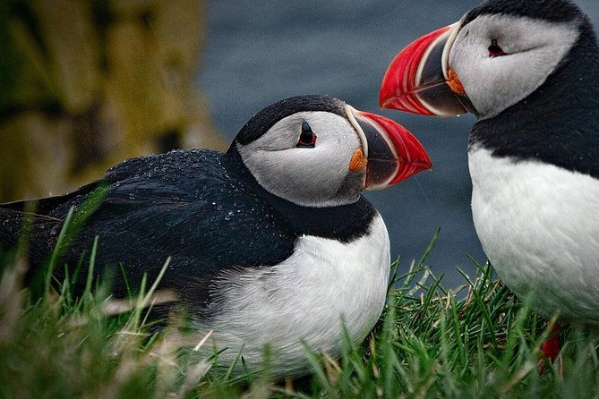 Private Tour: South Coast of Iceland by SUV or Van from Reykjavik - Eyjafjallajökull adds a story to the scenery
