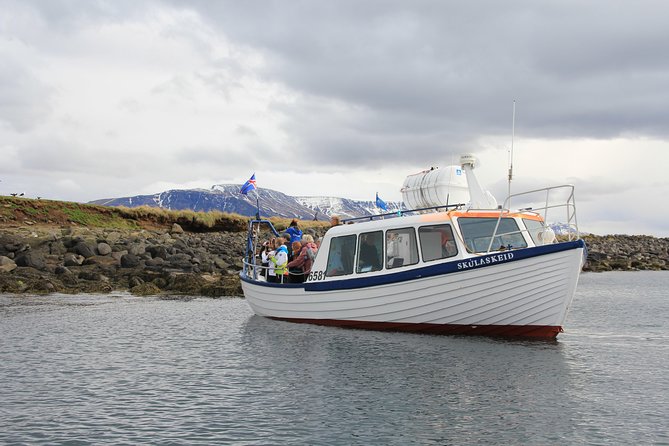 Puffin Cruise with Expert Tour Guide from Reykjavik - What you can see around Akurey