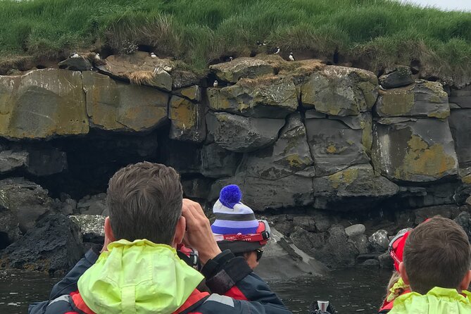 Puffin Watching Speedboat Express - Who will enjoy this boat most