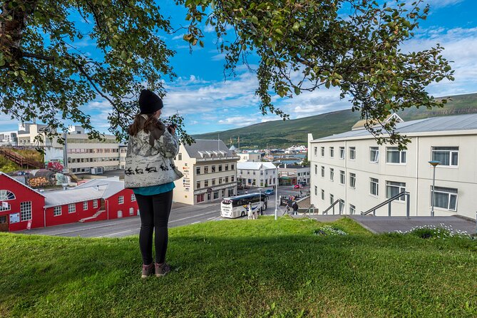 Revel in Reykjavik: Unveiling Iceland’s Charismatic Capital - Tjörnin, Reykjavik’s calm center