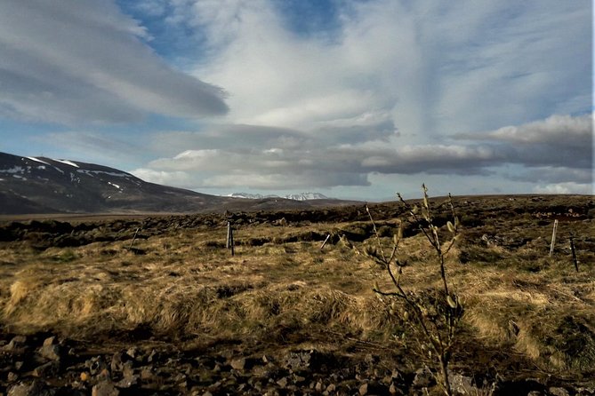 Reykjanes peninsula- Geopark and much more. Private tour - Private transport makes the schedule easier