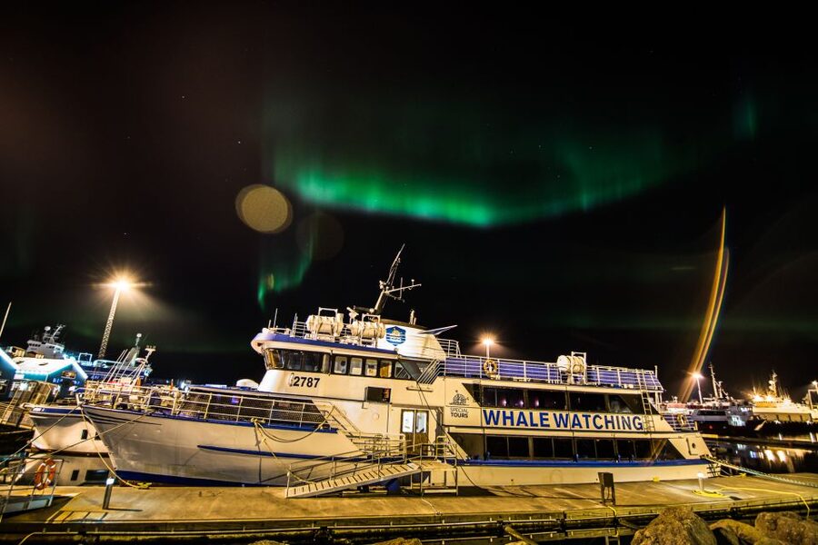 Reykjavik: 2-Hour Northern Lights by Boat with Backup Plan - The waiting game and the role of the guide