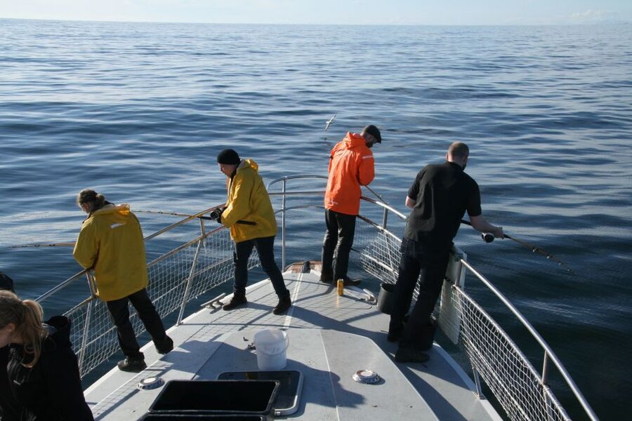 Reykjavik: 3-Hour Sea Angling Gourmet Experience Tour - Fishing Faxaflói from Reykjavik