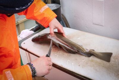 3-Hour Sea Angling Gourmet Experience Tour