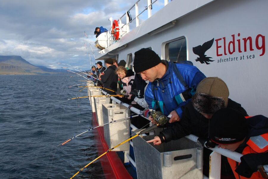 Reykjavik: 3-Hour Sea Angling Gourmet Experience Tour - Should you book the Faxaflói fishing trip?