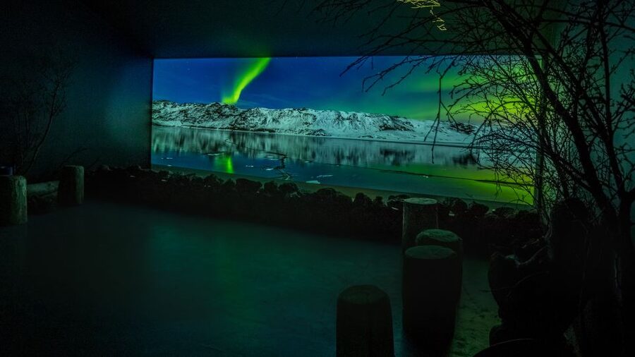 Reykjavik: Aurora Reykjavik The Northern Lights Center Entry - The 30-minute 4K film in the cinema