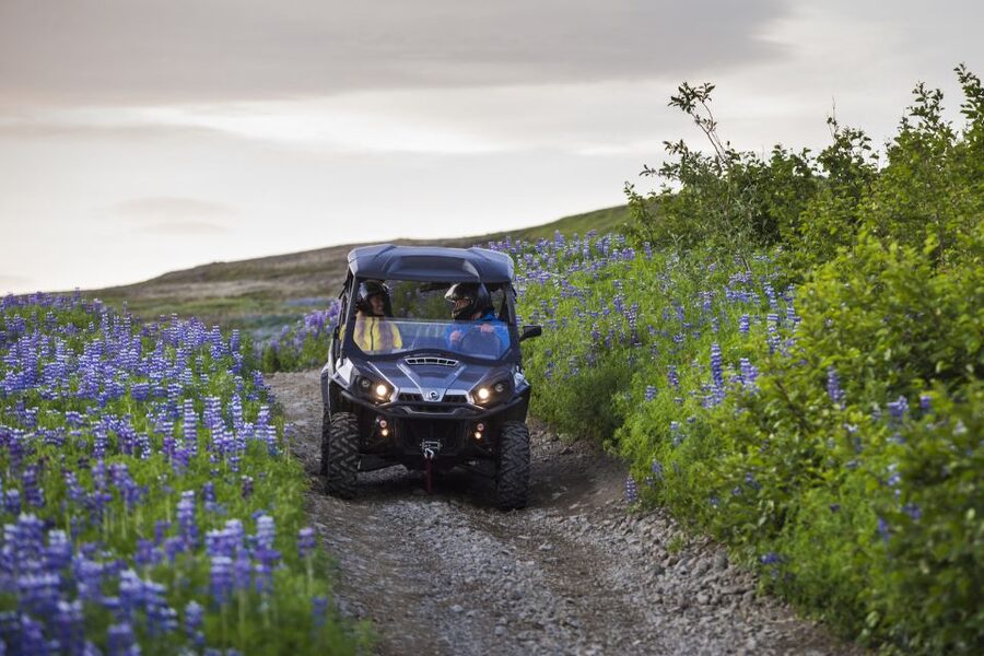 Reykjavik: Buggy Safari Tour with Hotel Transfers - Booking details worth checking before you pay